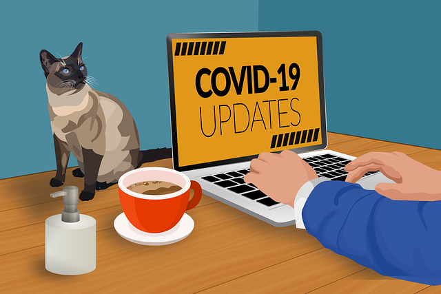 COVID-19 Work from Home Quarantine Image by thedarknut from Pixabay